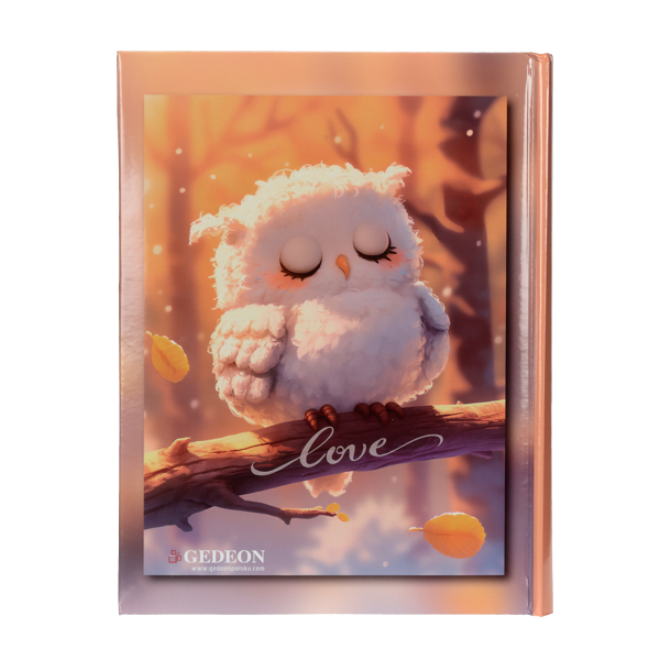 Album na zdjęcia 10x15 cm LOVE SOWA | 200 zdjęć
