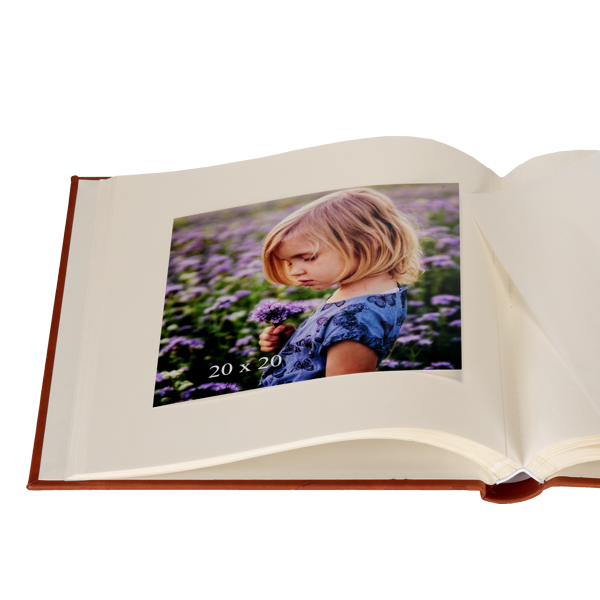 Album tradycyjny z pergaminem WAŻKA | kremowe strony | 60 stron