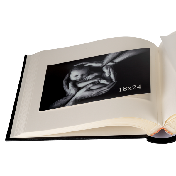 Album tradycyjny z pergaminem SREBRNY LIŚĆ | kremowe strony | 100 stron