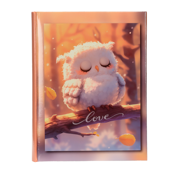 Album na zdjęcia 10x15 cm LOVE SOWA | 200 zdjęć